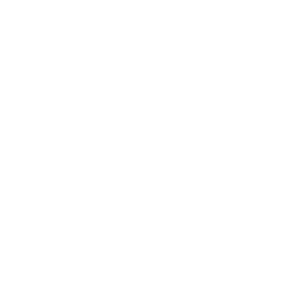 Crocs Logo Mark White